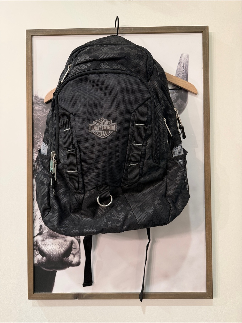 ๐๐ค๐ Harley-Davidson Backpack - Picture 14 of 14